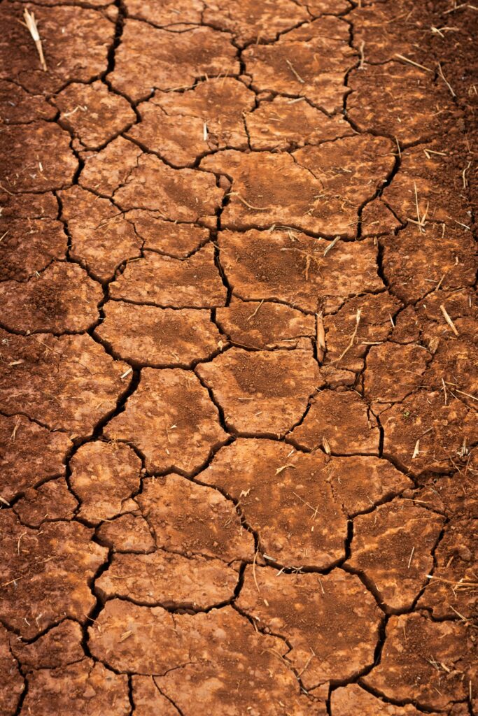 élément terre rituel sacré féminin cercle femmes Toulouse